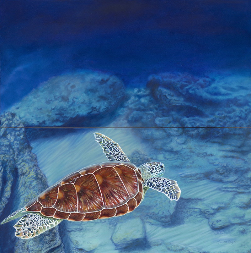 Sea Turtle Solitude (diptych)