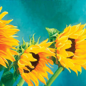 Dance of the Sunflowers